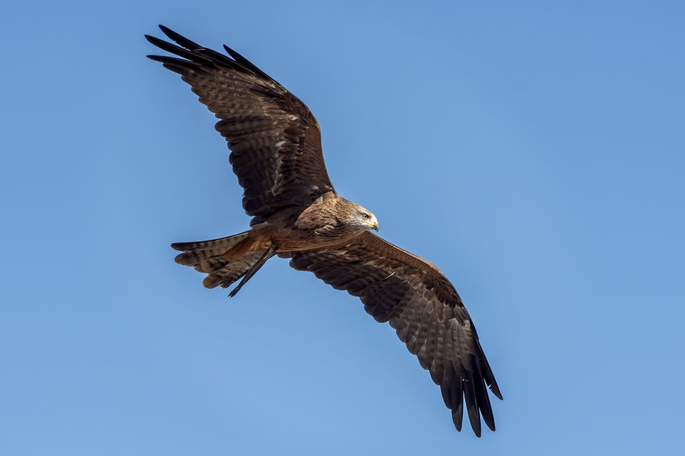 Photograph by Tamara Lebón Sánchez