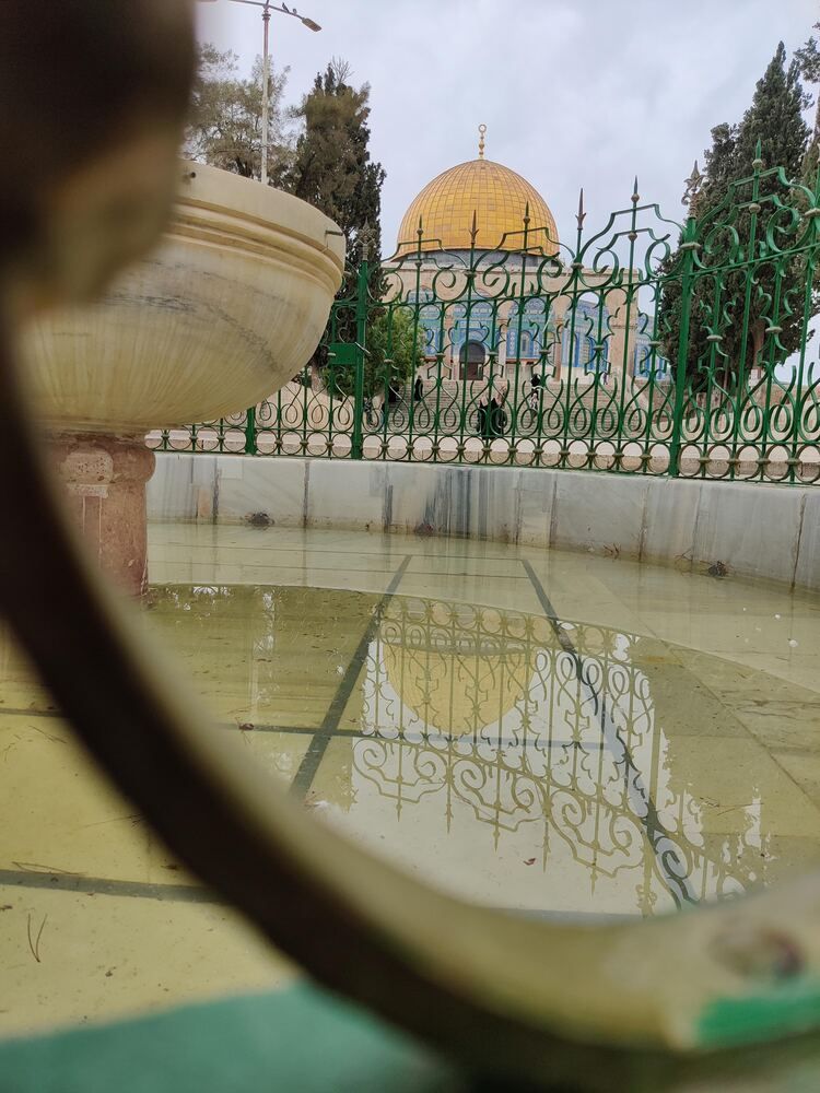 Photograph by Sveta Mitlansky