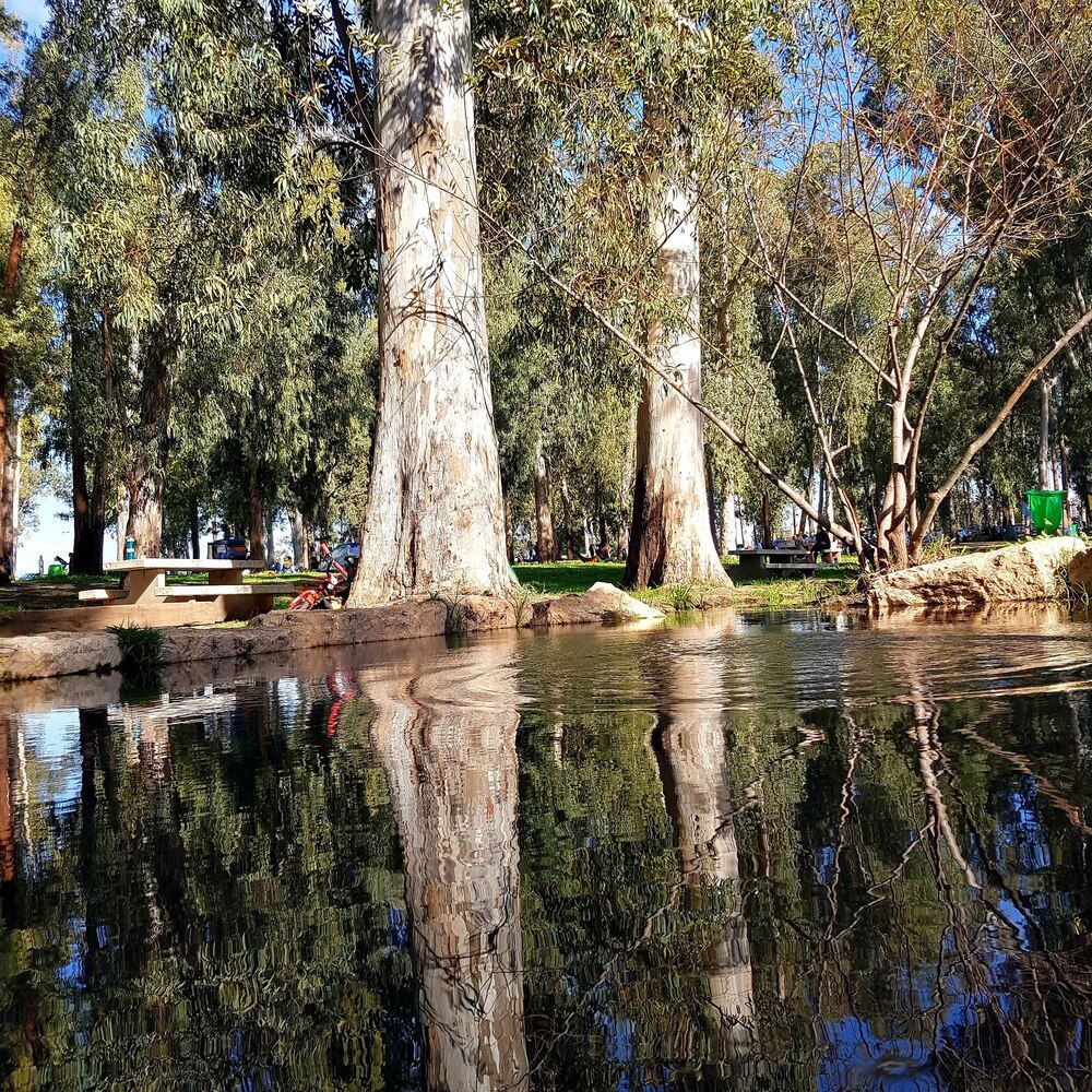 Photograph by Sveta Mitlansky