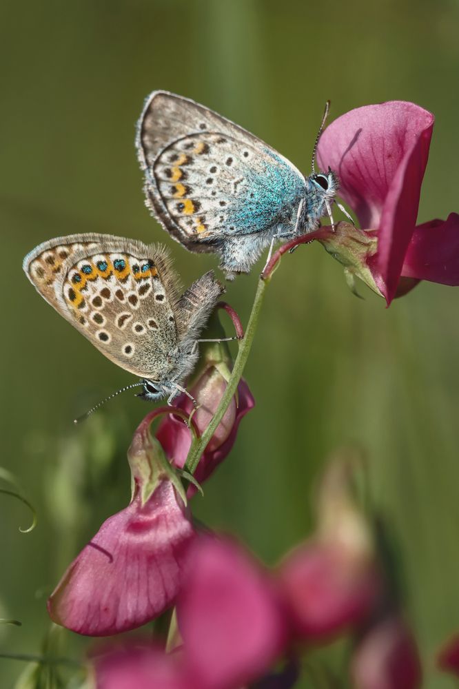 Photograph by Лапин Сергей