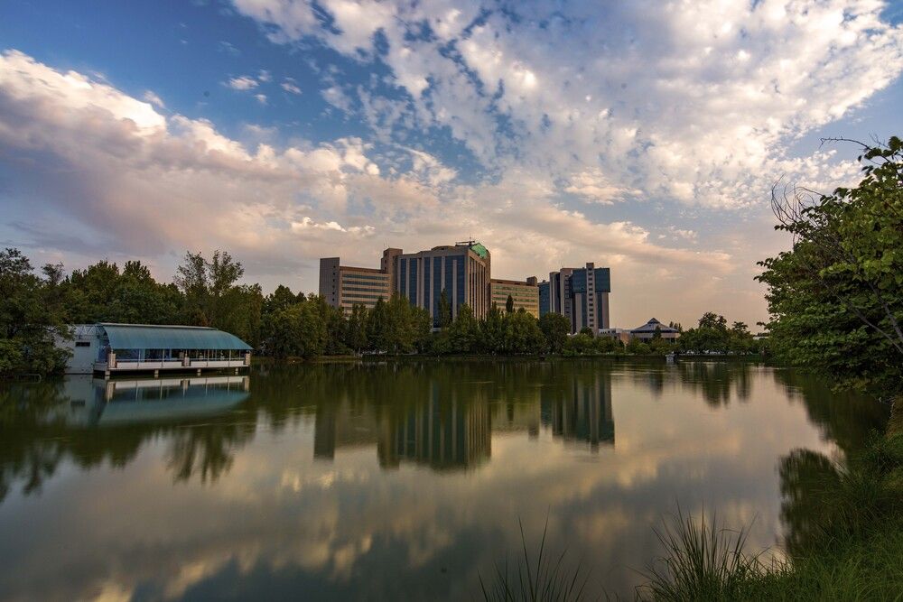 Photograph by Abdulrahman Sawalha