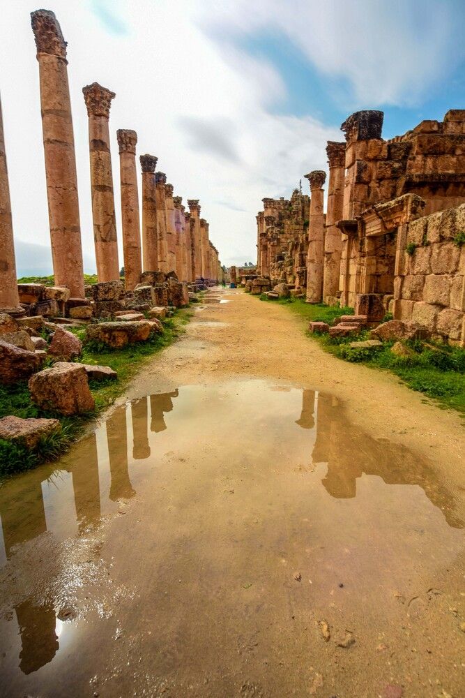 Photograph by Abdulrahman Sawalha