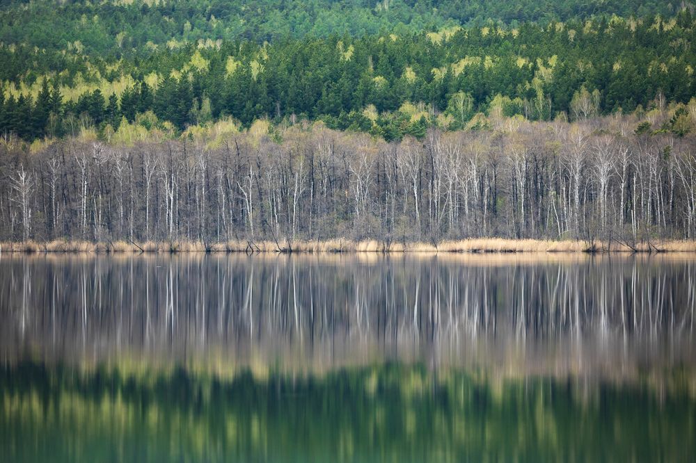 Photograph by Дмитрий Щепанов