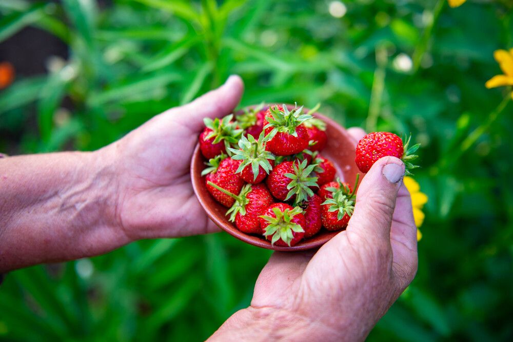 Photograph by Darina