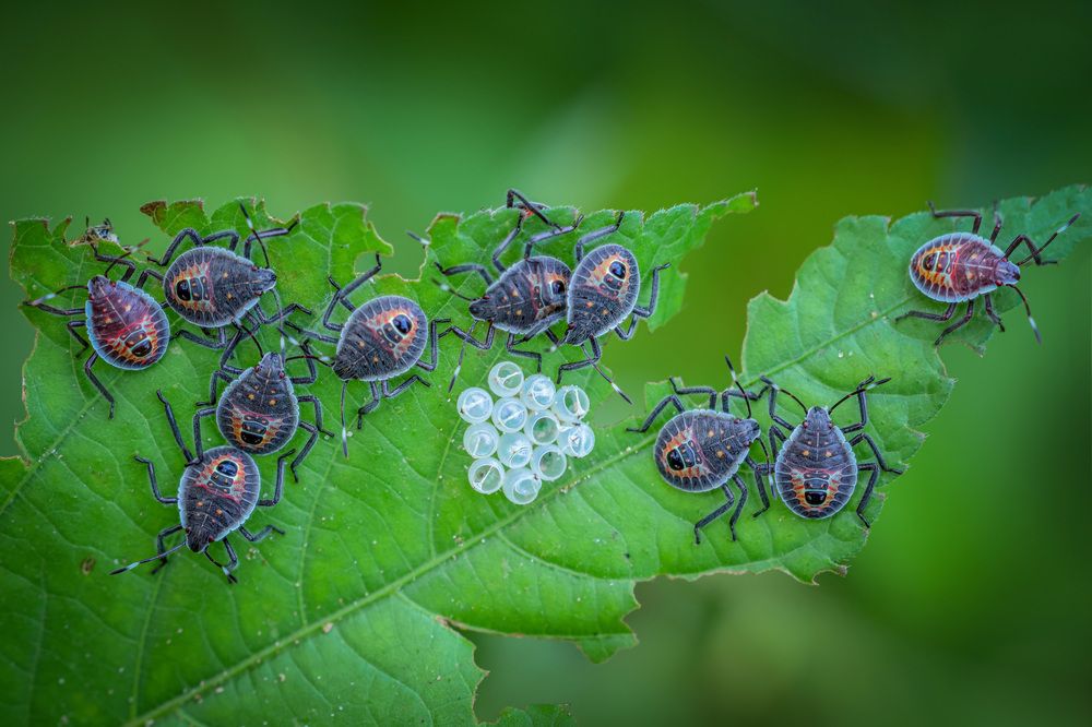 Photograph by Dhruv Shilpi