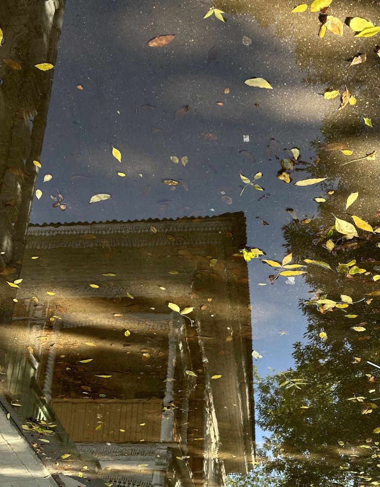 Photograph by Юлия Осипова