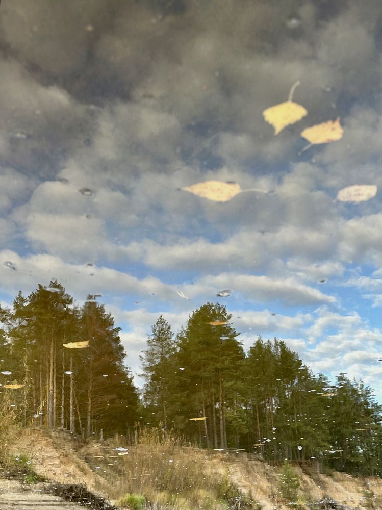 Photograph by Юлия Осипова