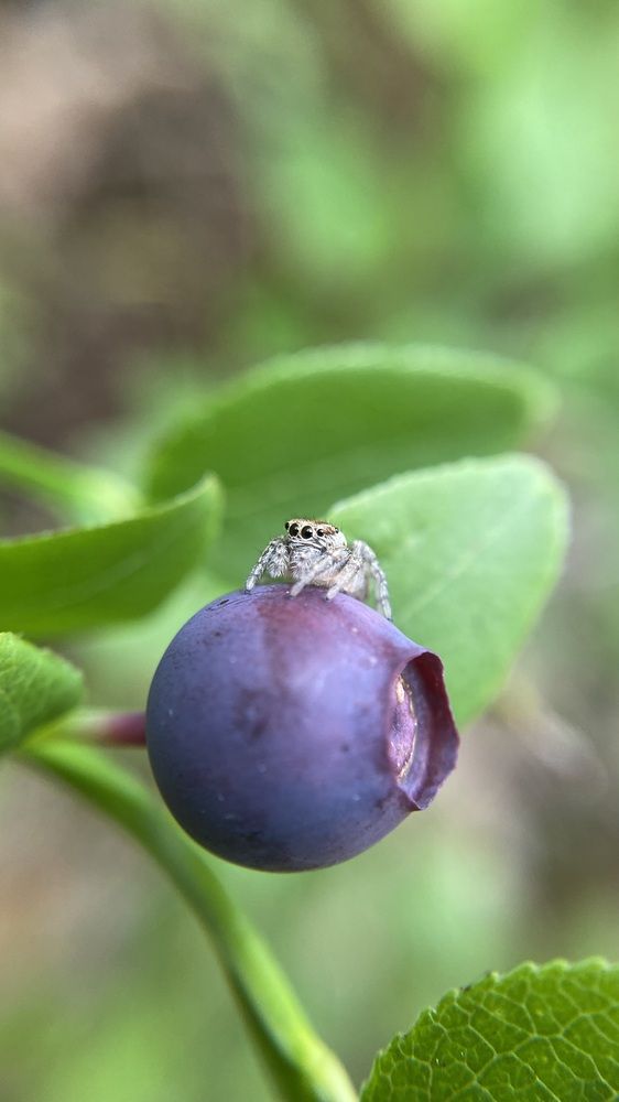 Photograph by Анна Бобкова