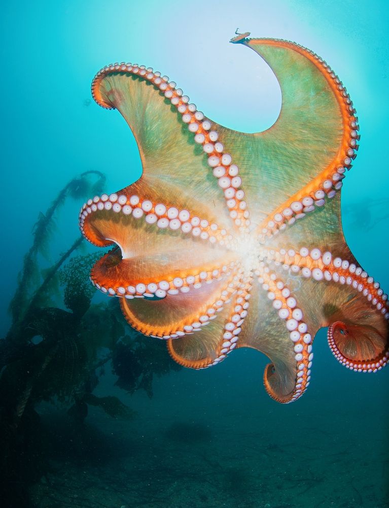 Photograph by Андрей Нарчук