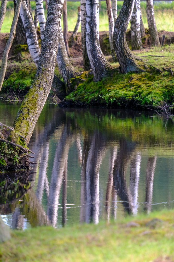 Фотография автора Александр Высоцкий