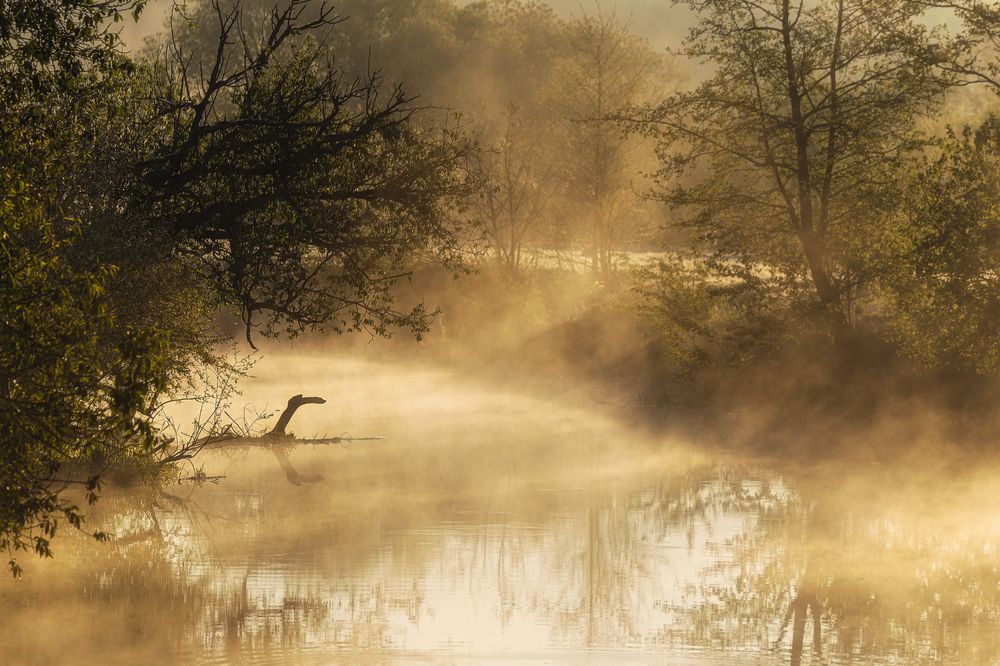 Photograph by Leanid Kulpo