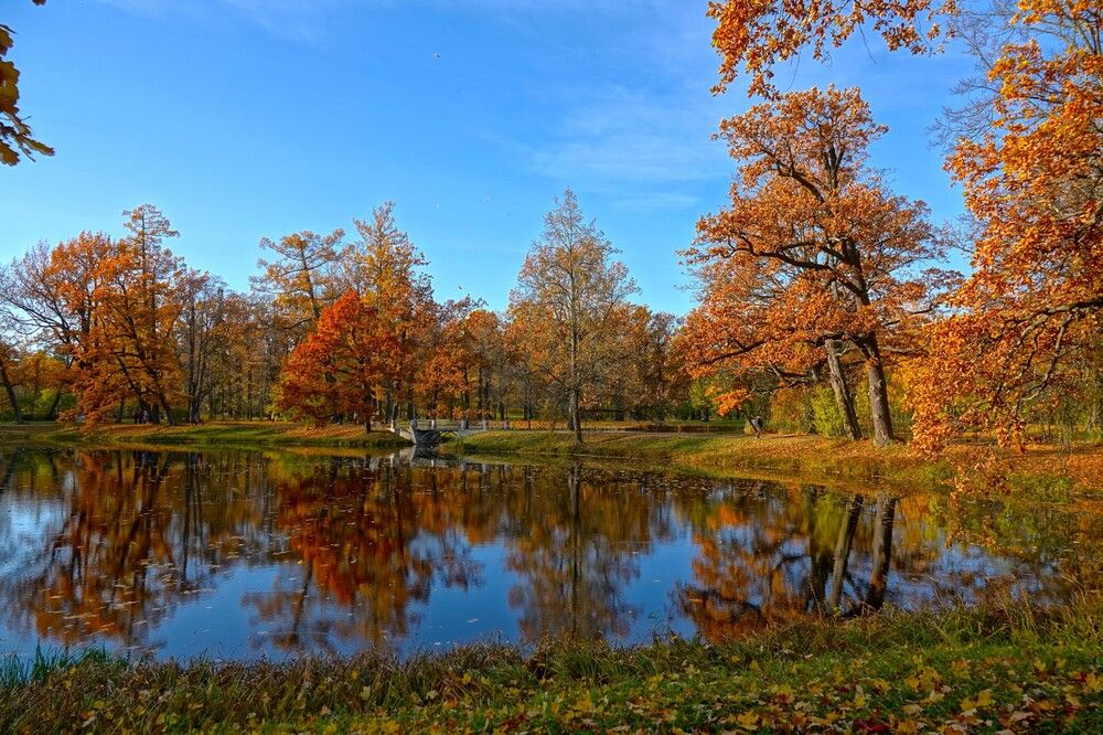 Photograph by Zakharov Matvey