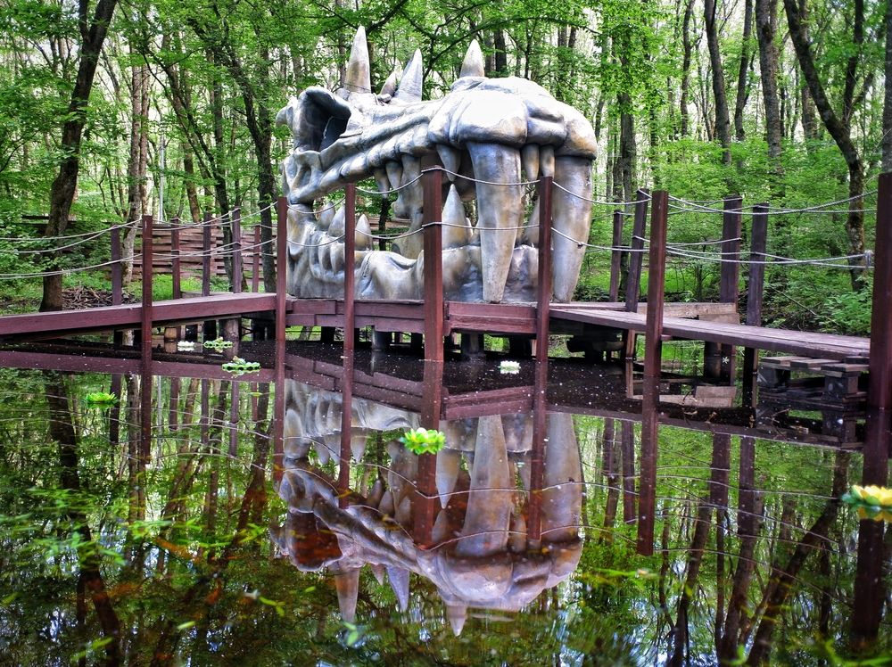 Photograph by Зорин Миша