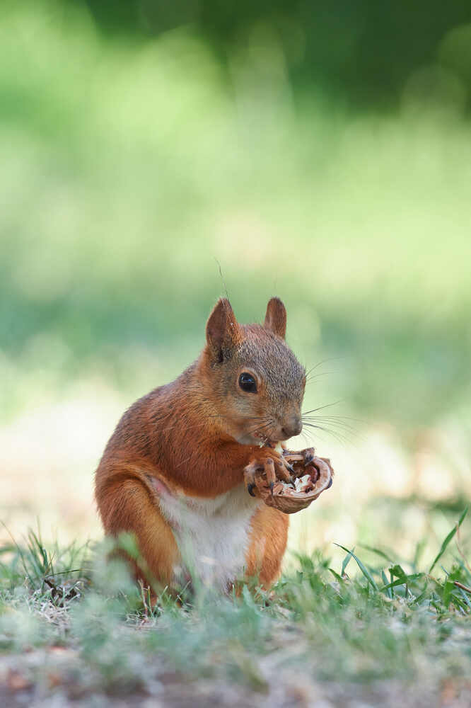 Photograph by Павел Сторчилов
