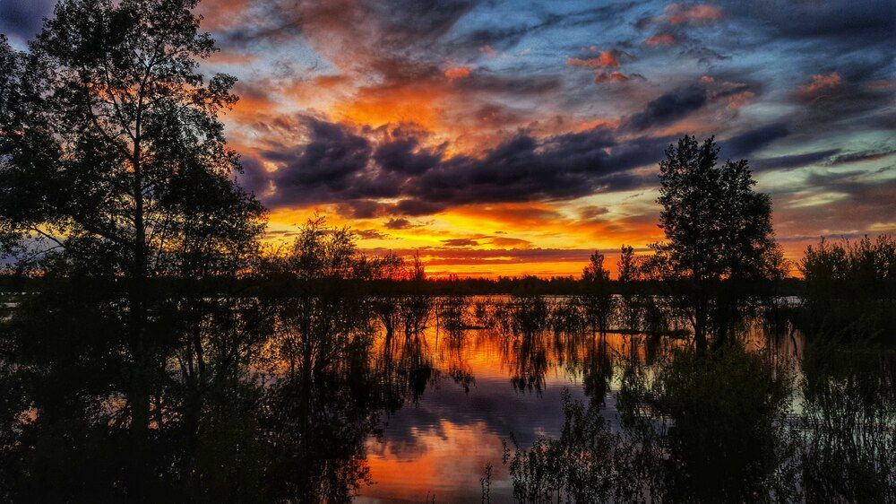 Photograph by Митюшкова Алёна