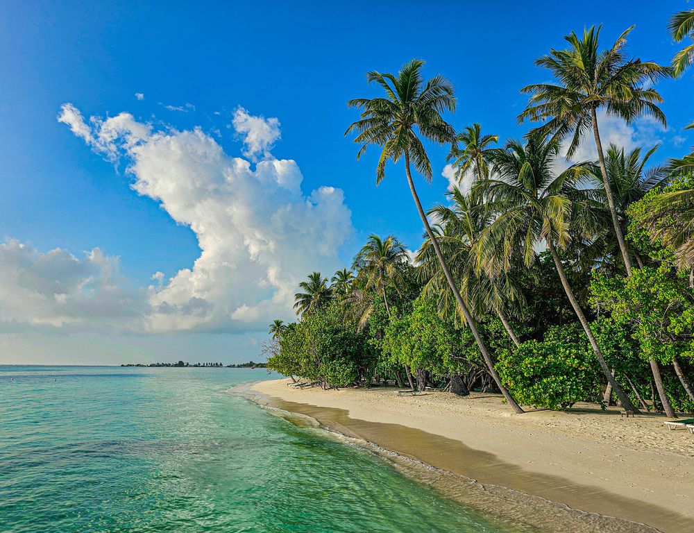 Photograph by Сергей Кесаев