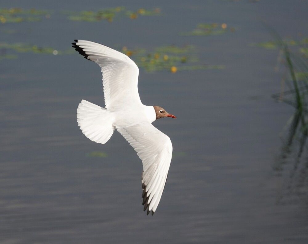 Photograph by Zakharov Matvey