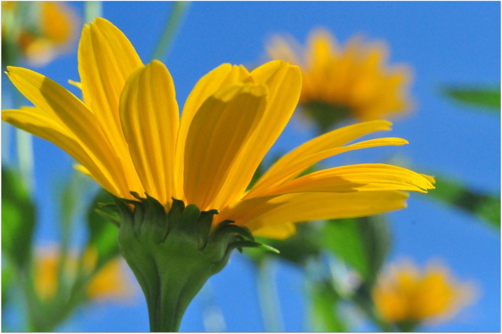 Photograph by Евгений Николаенков