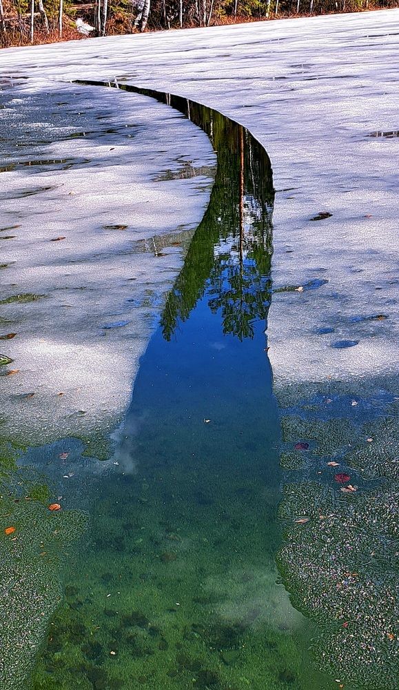 Photograph by Галина Перепечаева