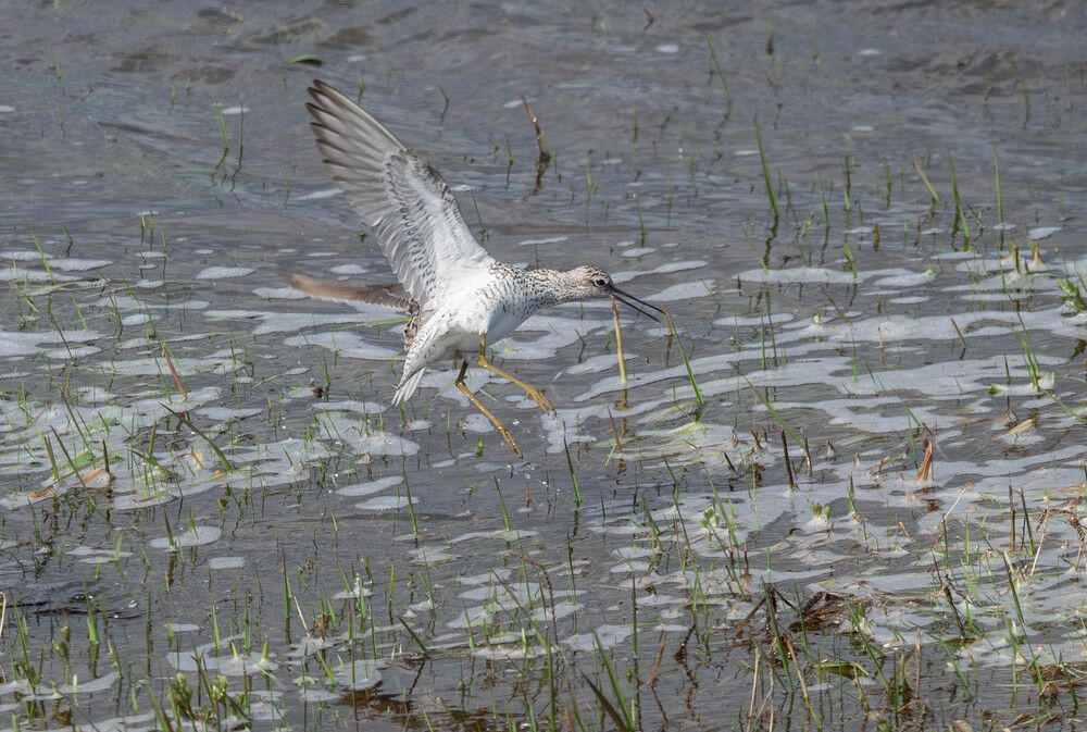 Photograph by Альварис Сукманюк