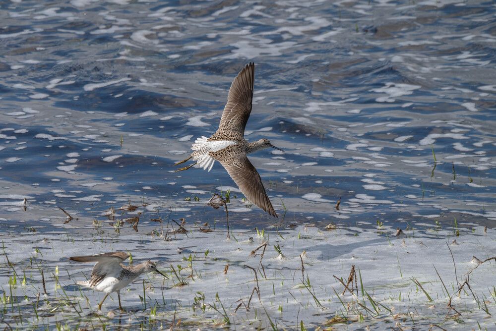 Photograph by Альварис Сукманюк