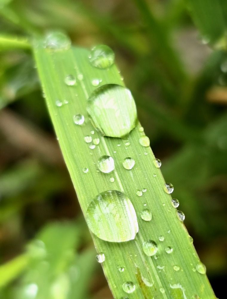 Photograph by Лариса Ким