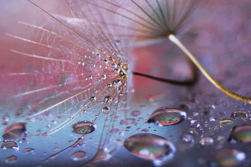 Photograph by Олеся Постнова