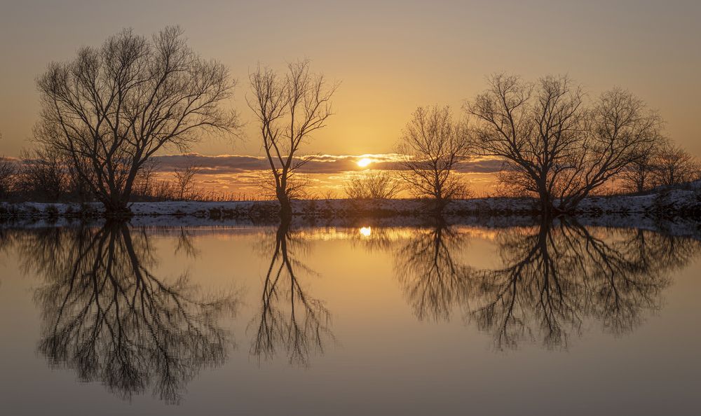 Photograph by Алексей Мякота