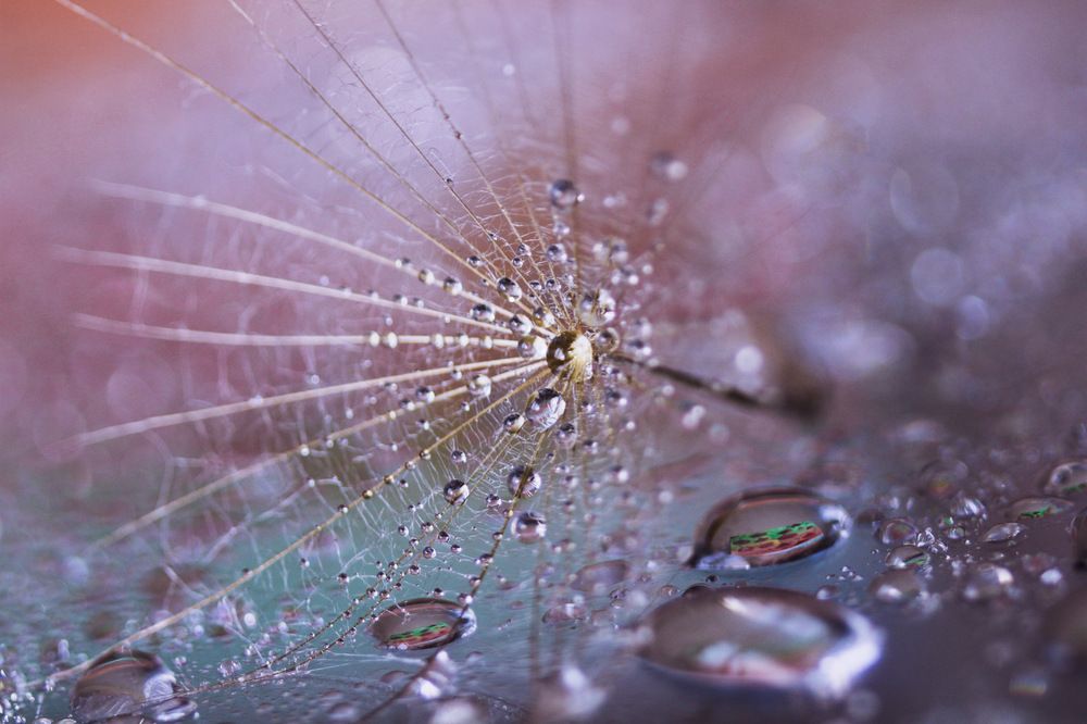 Photograph by Олеся Постнова