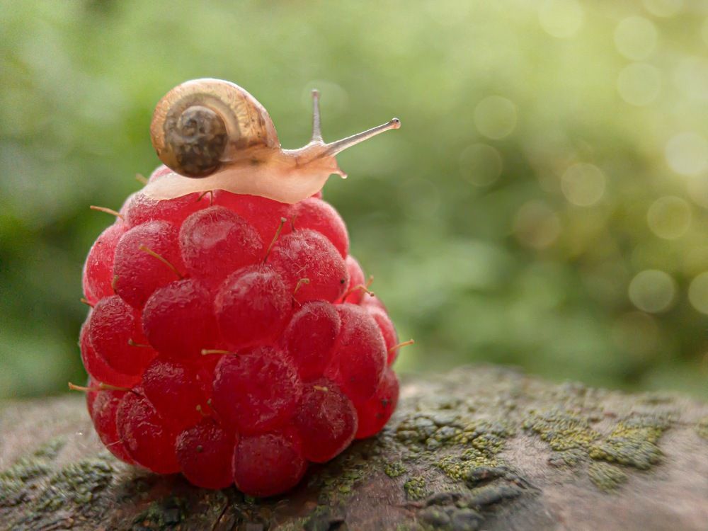 Photograph by Lyudmila Konigina