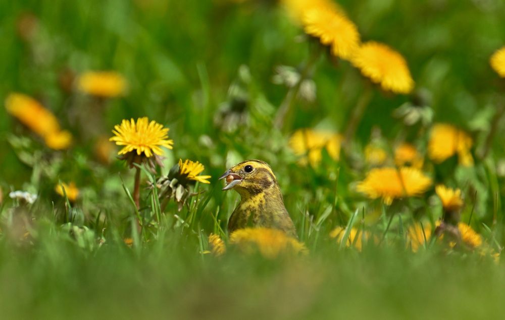 Photograph by Виктория Шажко