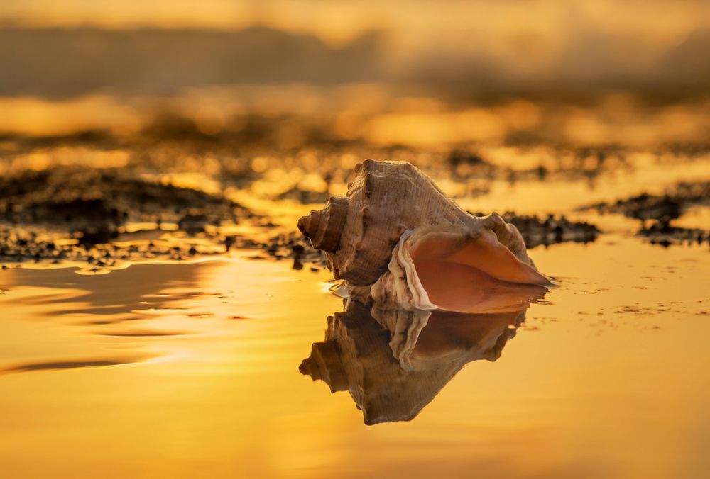 Photograph by Солодар Виктория