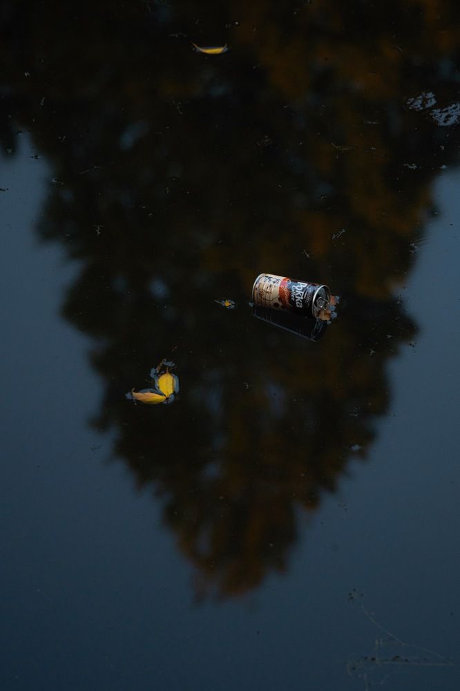 Photograph by Shunya Takabayashi