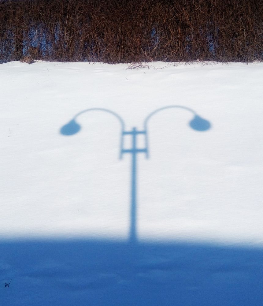 Photograph by Нестеренко Светлана