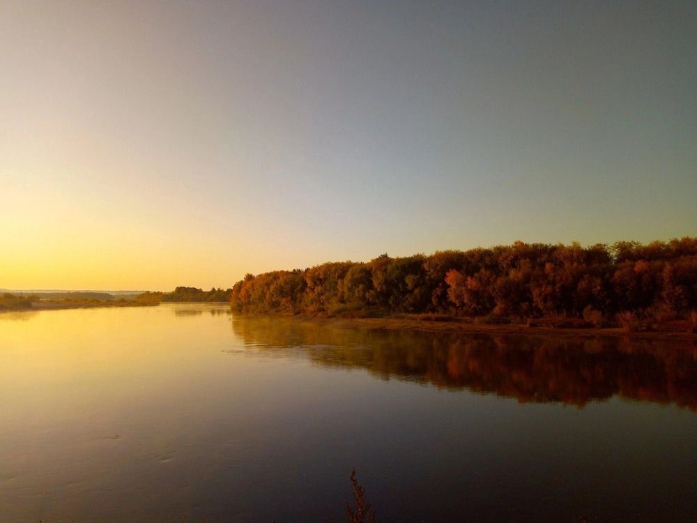 Photograph by София Бояринцева