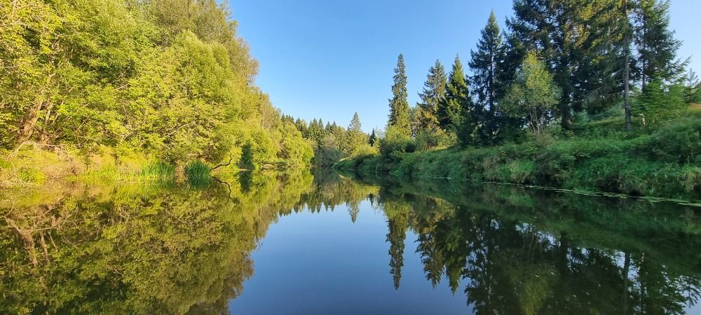 Фотография автора Марина Карасева