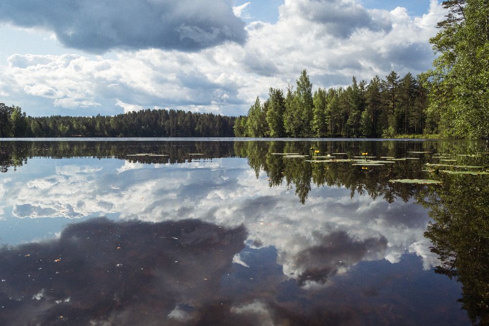 Фотография автора Ярослав Качура