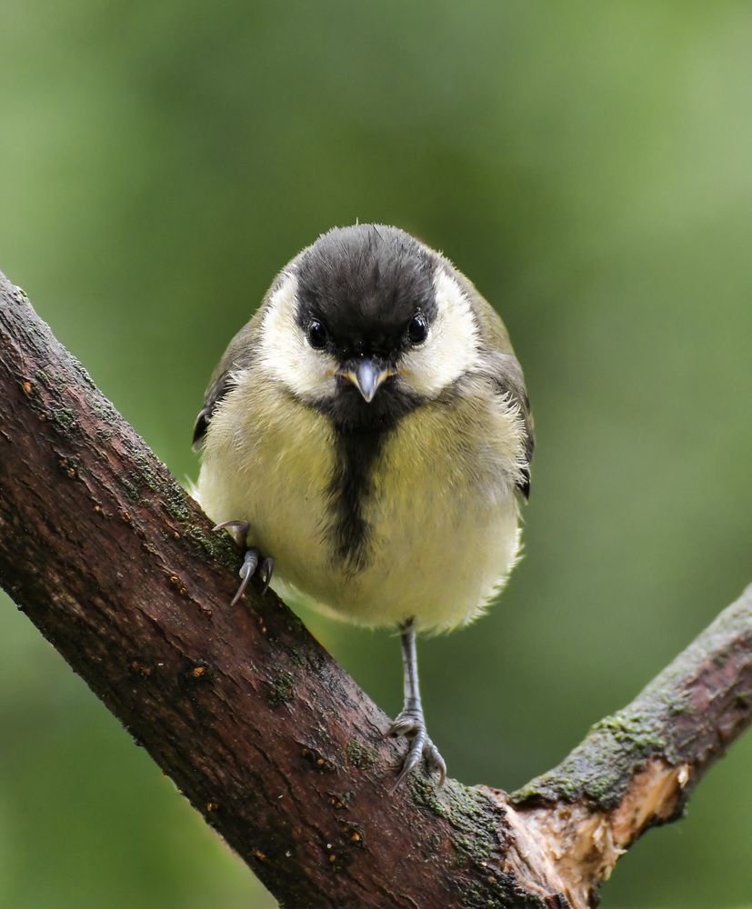 Photograph by Наталья Екимова