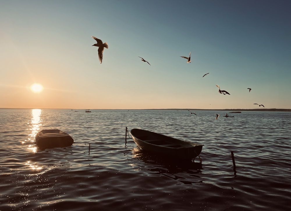 Photograph by Волкова Полина
