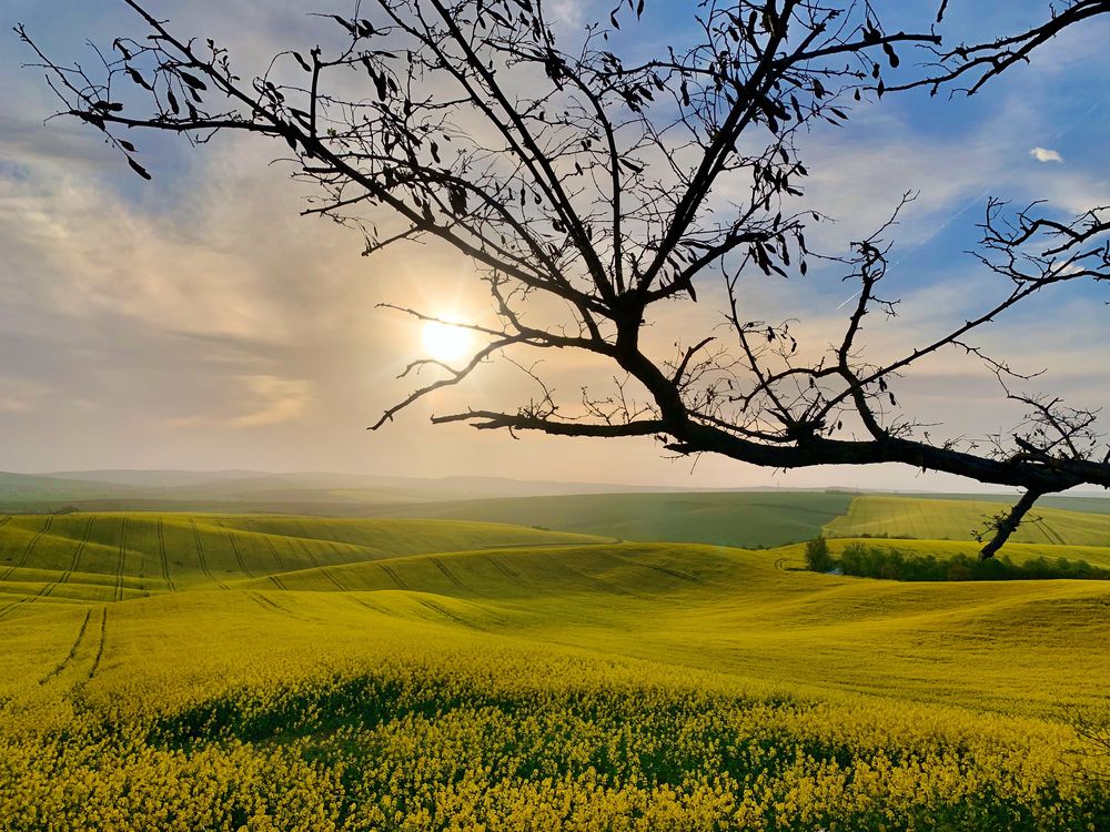Photograph by Vladimir Ostapenko