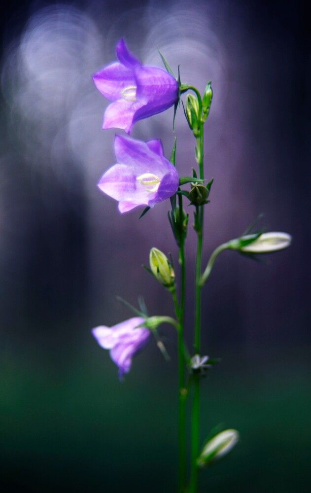Photograph by Рамиль Мансуров