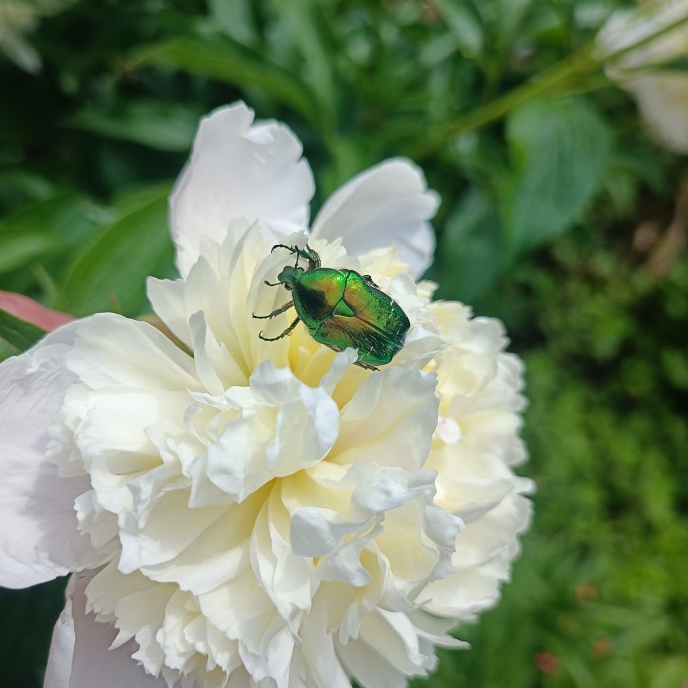 Photograph by Игорь Крапивин