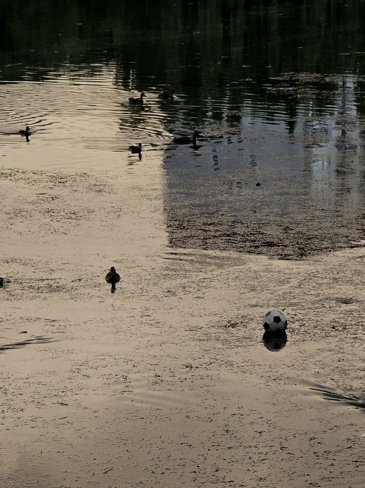 Photograph by Юлия Ханналайнен