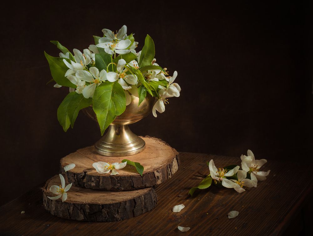 Photograph by Хвойнова Елена