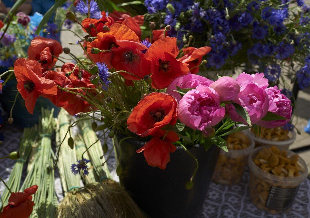 Sunny flowers