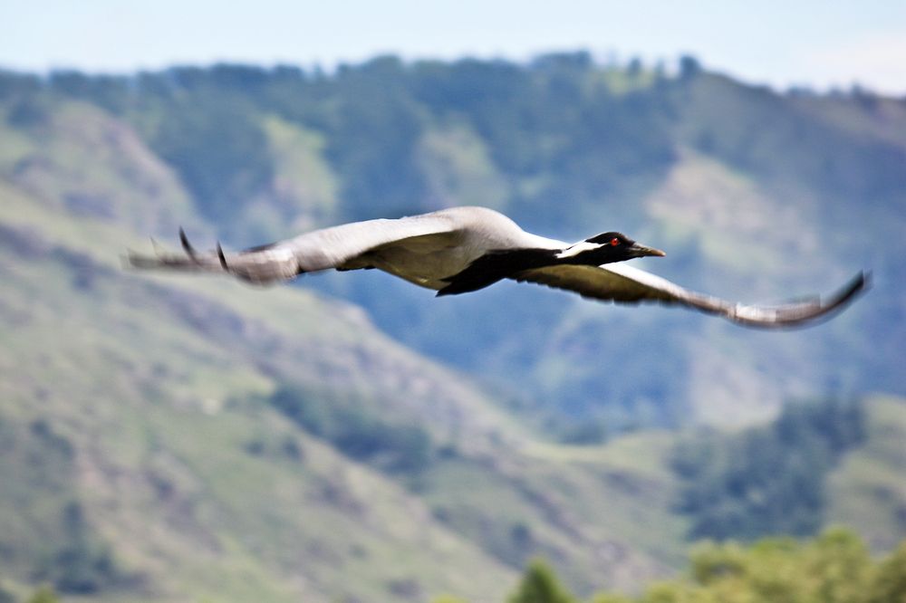 Photograph by виктор ковчин