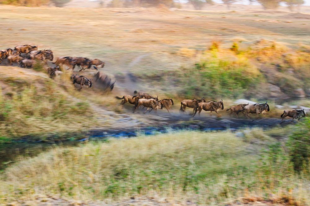 Photograph by Edyta Chrząszcz