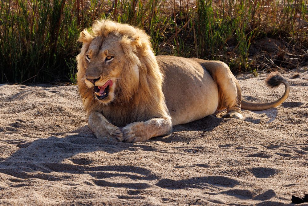 Photograph by Edyta Chrząszcz