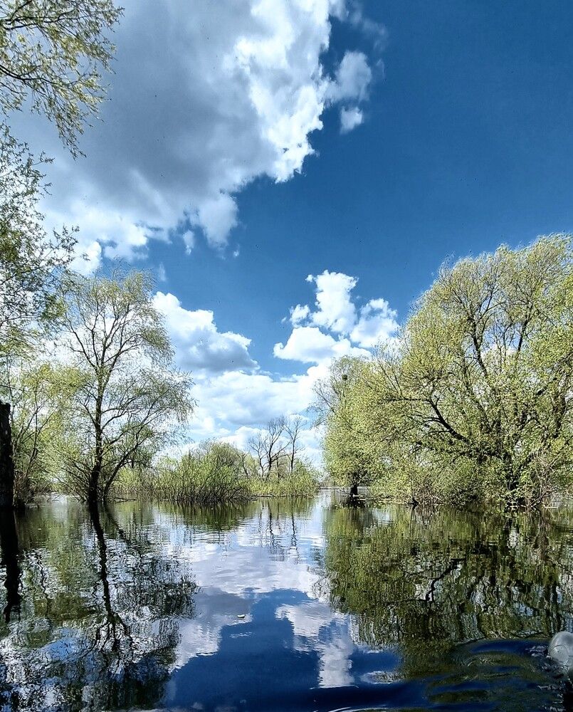 Photograph by Татьяна Гуцанович