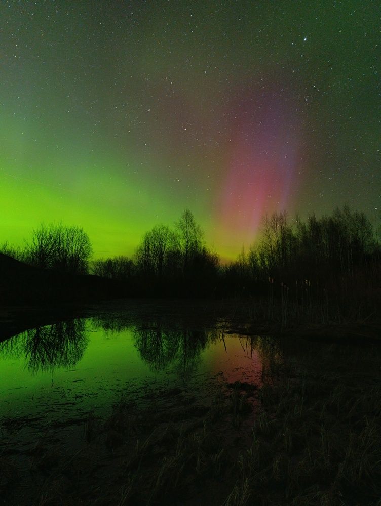 Фотография автора Андрей Шестаков
